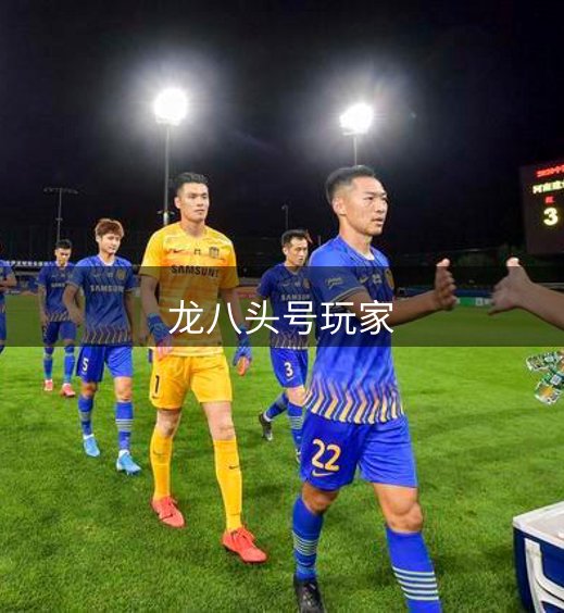 关于龙八头号玩家